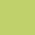 High Waist Brief - Recycled Seamfree - Lime