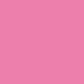 High Waist Brief - Recycled Seamfree - Pink