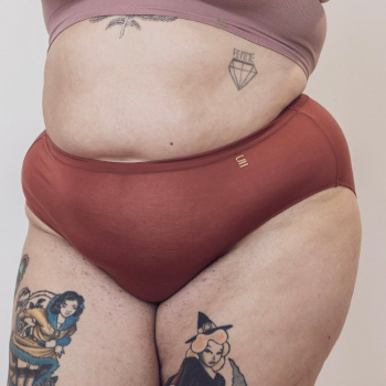 Sustainable clay high waist brief by Underwear for Humanity: ethical, sustainable. sizes 6-26. light, breathable. Models wear high-waisted underwear. underwear sits high on the waist, full seat coverage. smooth under clothing. made from Tencel and recycled materials